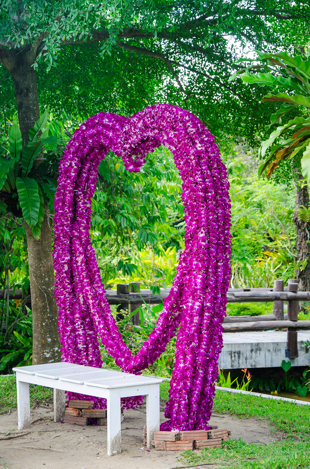 Prebook 1000 Rainbow Sonia Fresh Cut Dendrobium Orchid Loose Bloom