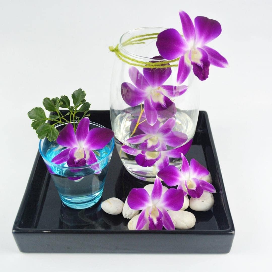 Prebook 50BLUE 50PURPLE COMBO Fresh Cut Dendrobium Orchid Loose Bloom