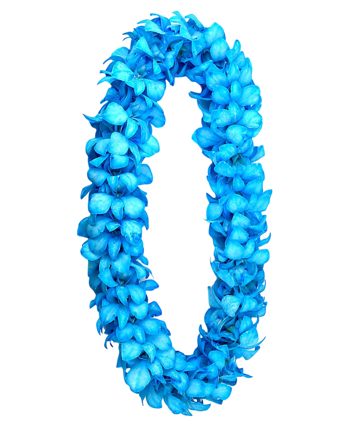 PREBOOK - BABY BLUE (White-Dyed) D-LEI ( DOUBLE LEI ) Dendrobium Orchid Fresh Flowers