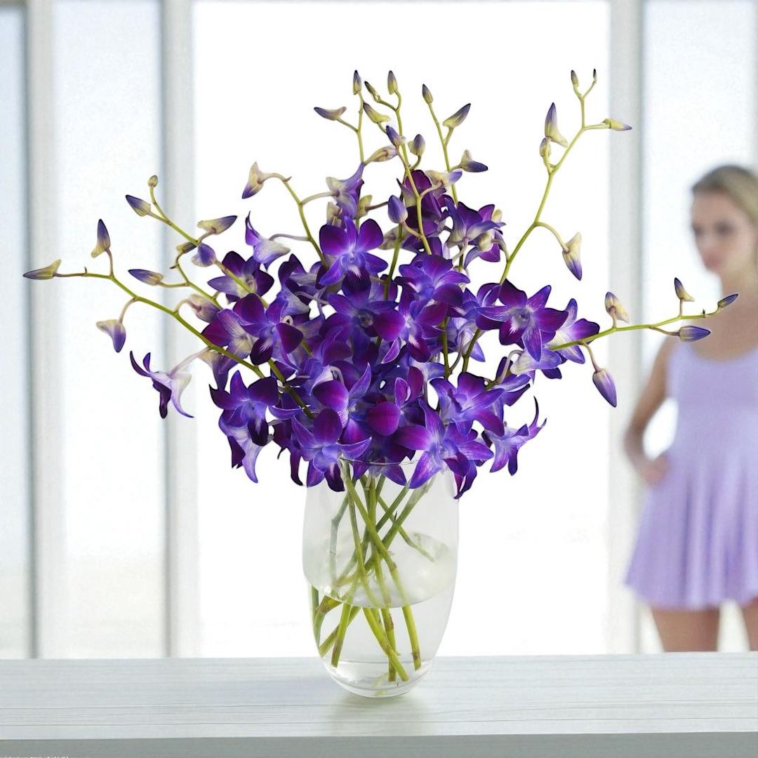 PREBOOK - 10 Stems LAVENDER Fresh Cut Dendrobium Orchid Bouquet