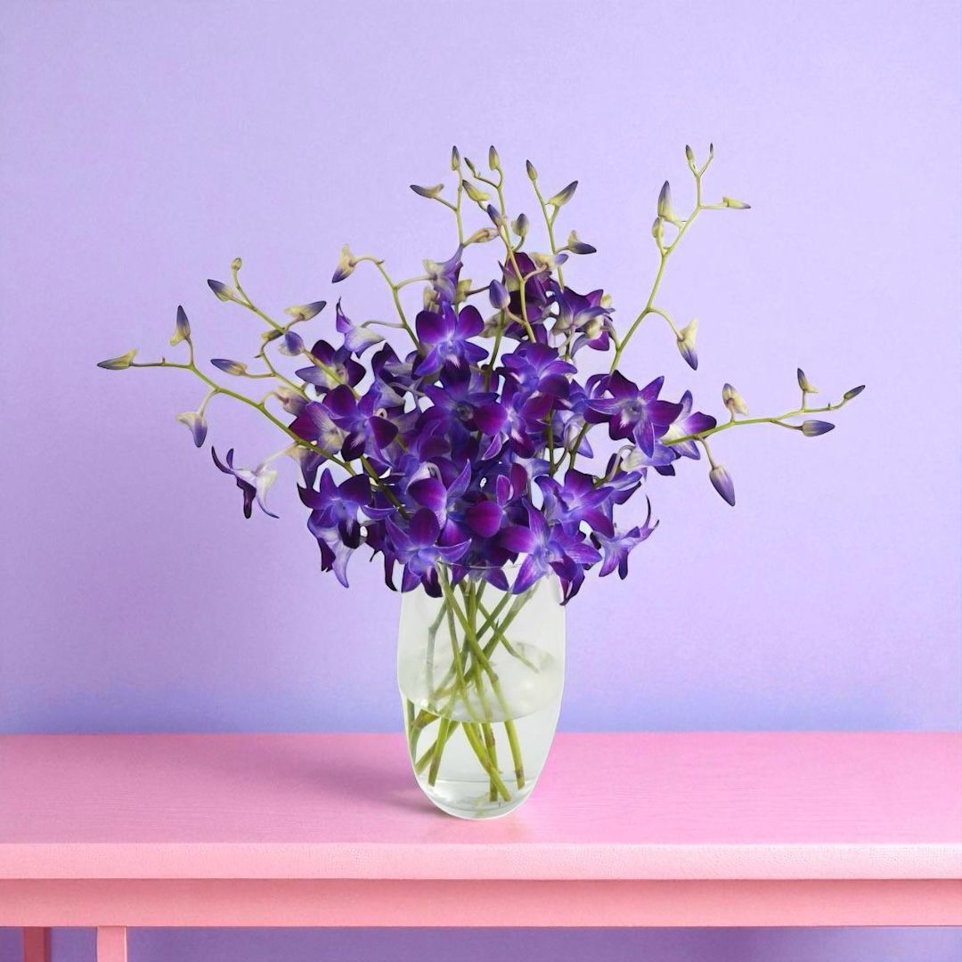 PREBOOK - 10 Stems LAVENDER Fresh Cut Dendrobium Orchid Bouquet