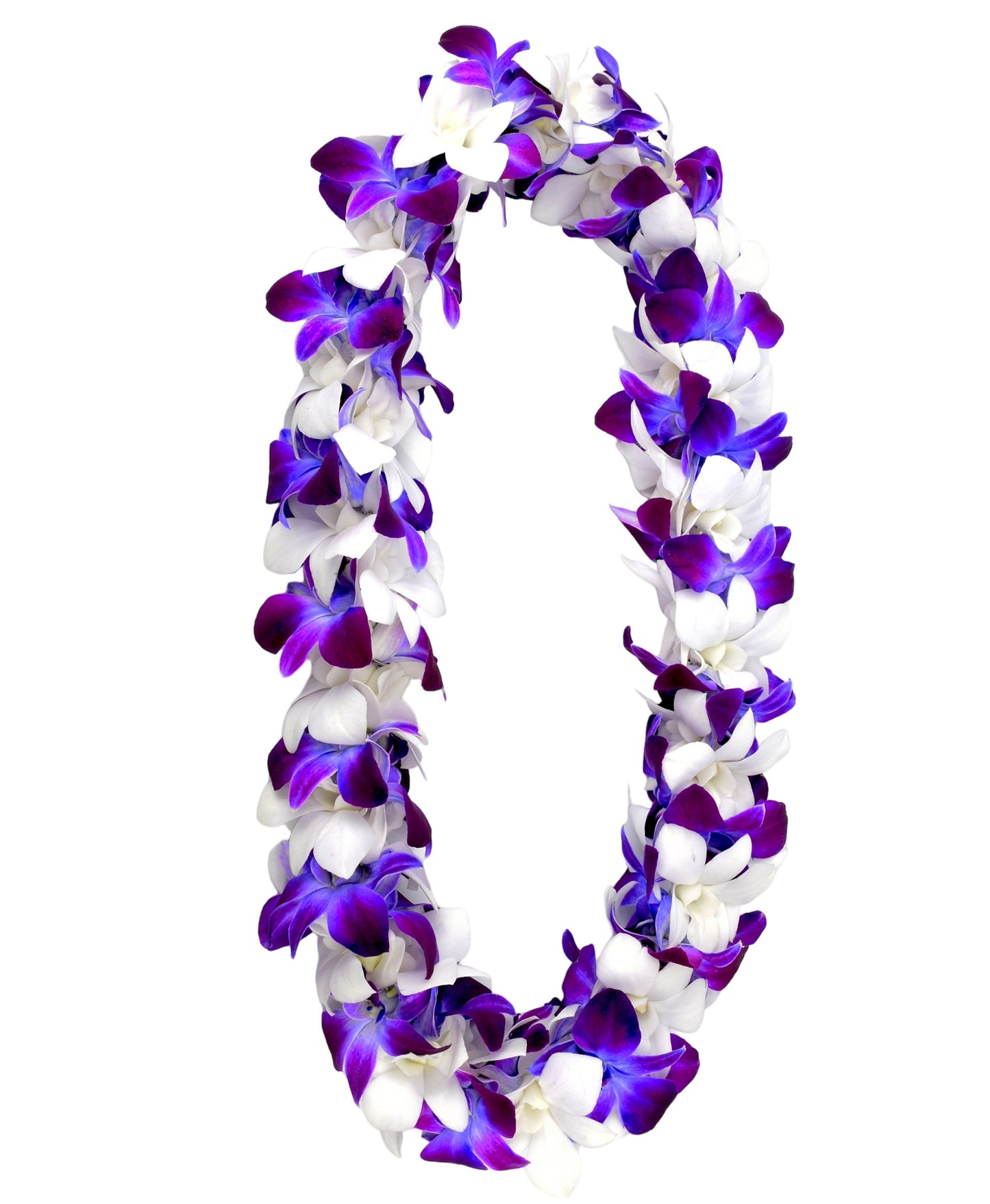 PREBOOK - LAVENDER+WHITE D-LEI ( DOUBLE LEI ) Dendrobium Orchid Fresh Flowers