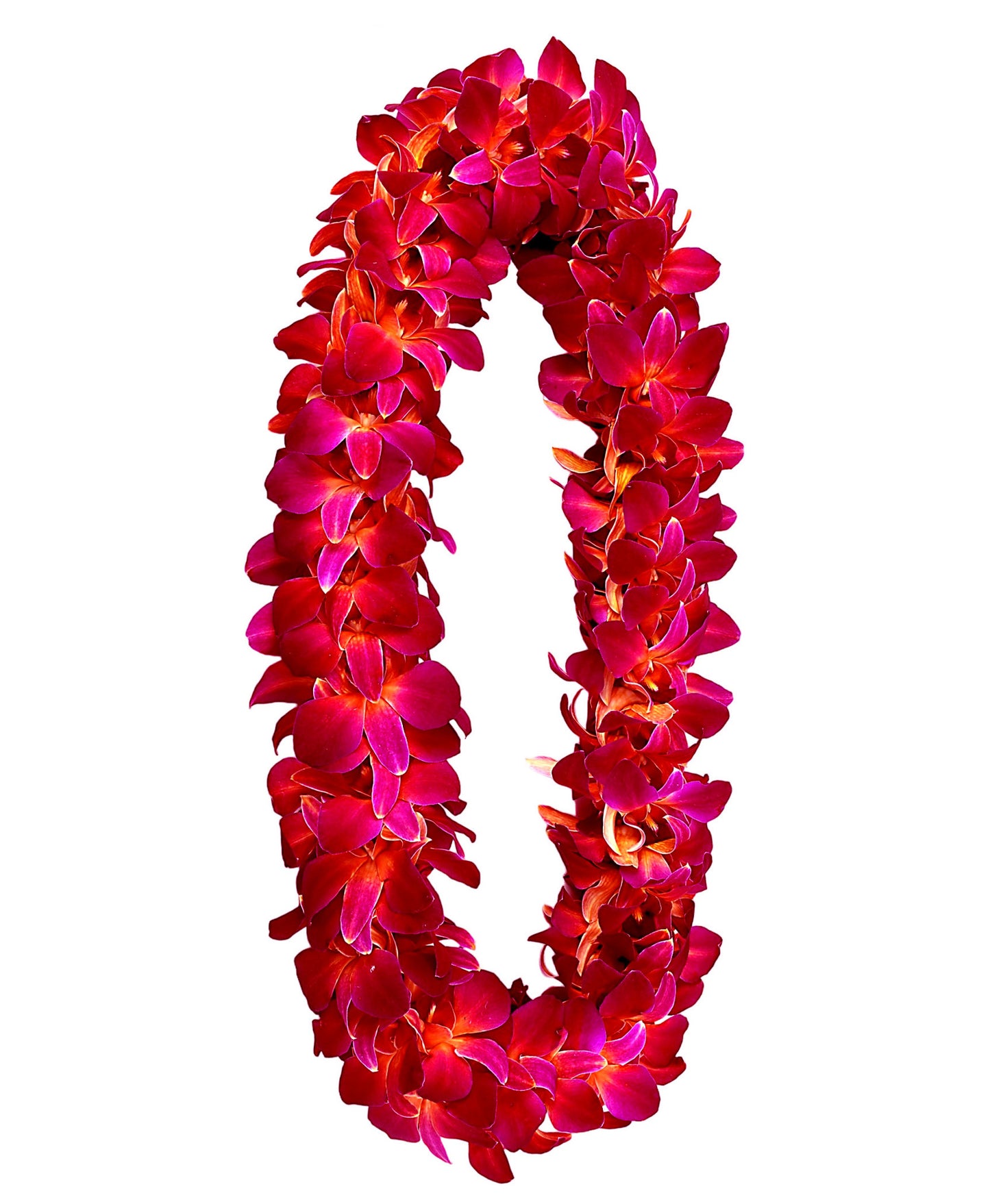 PREBOOK - RED SONIA D-LEI ( DOUBLE LEI ) Dendrobium Orchid Fresh Flowers