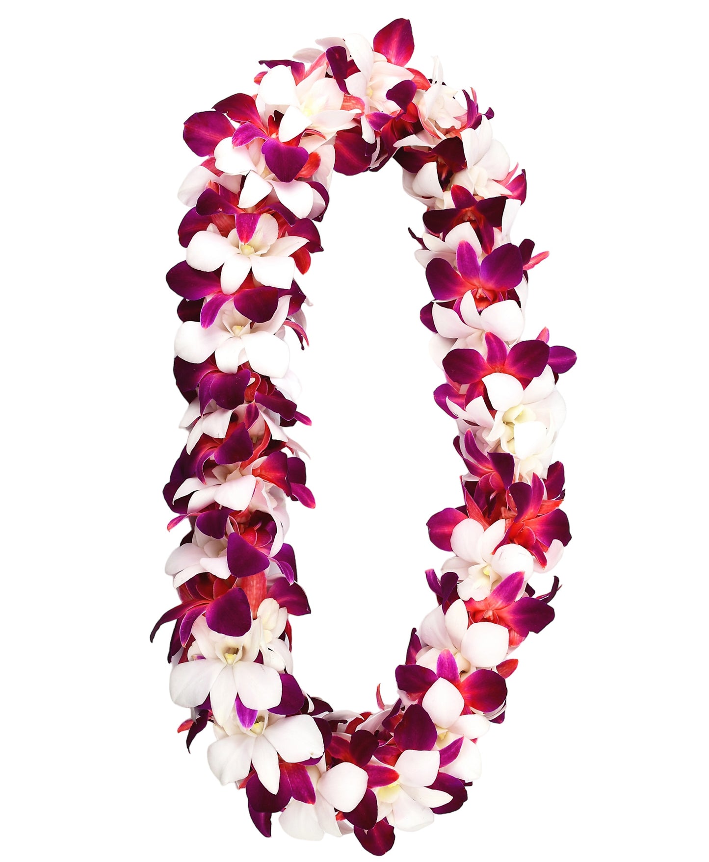 PREBOOK - RED SONIA+WHITE D-LEI ( DOUBLE LEI ) Dendrobium Orchid Fresh Flowers