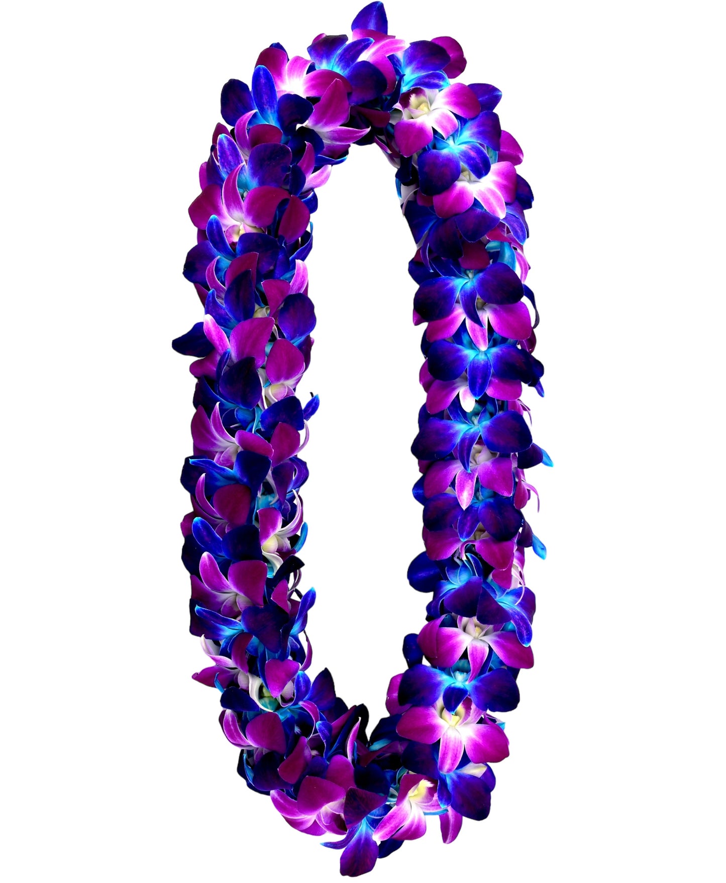 PREBOOK - BLUE+PURPLE Classic SONIA D-LEI ( DOUBLE LEI ) Dendrobium Orchid Fresh Flowers