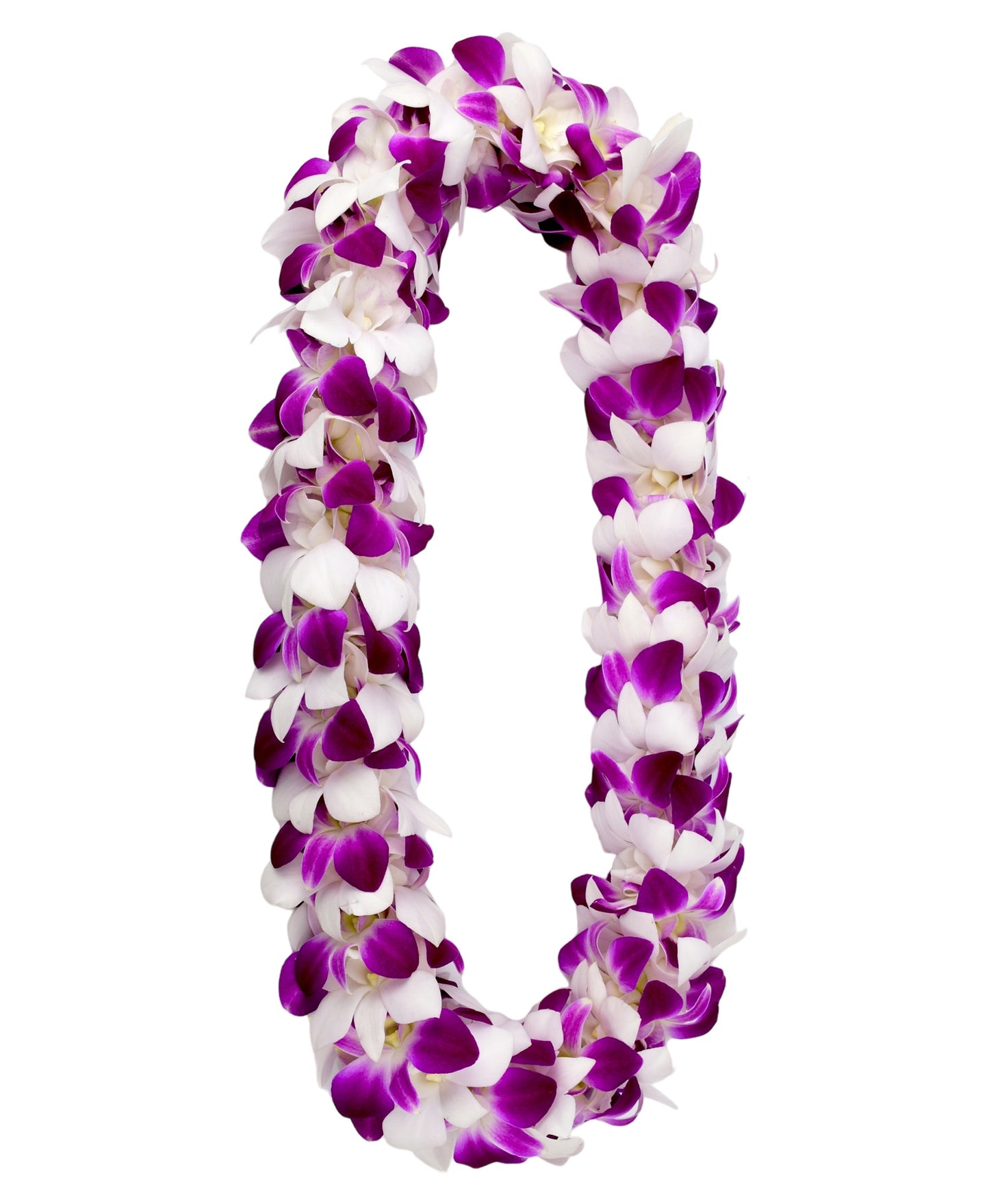PREBOOK - Purple SONIA+WHITE D-LEI ( DOUBLE LEI ) Dendrobium Orchid Fresh Flowers