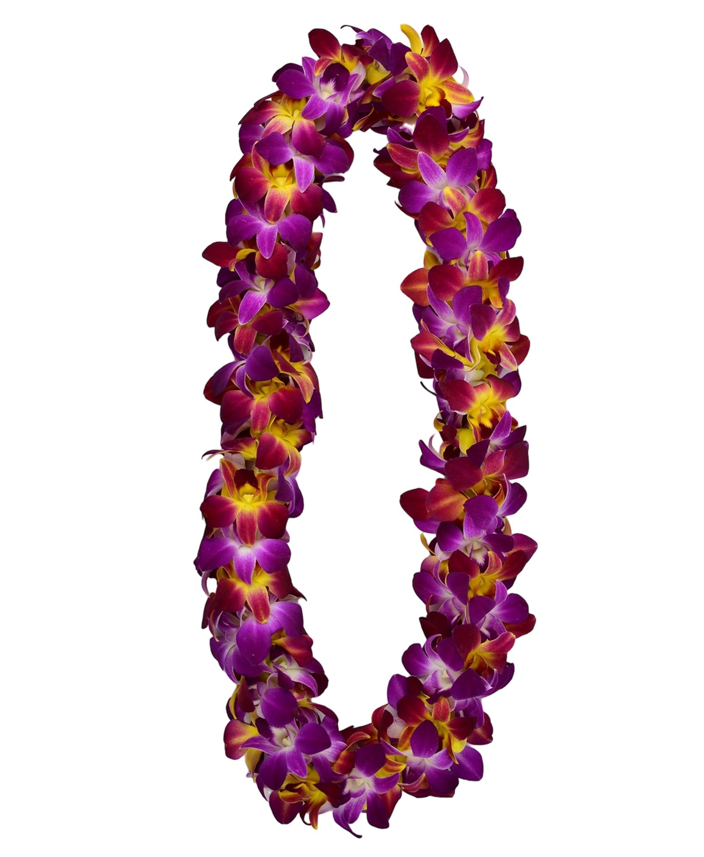 PREBOOK - YELLOW+PURPLE Classic SONIA D-LEI ( DOUBLE LEI ) Dendrobium Orchid Fresh Flowers