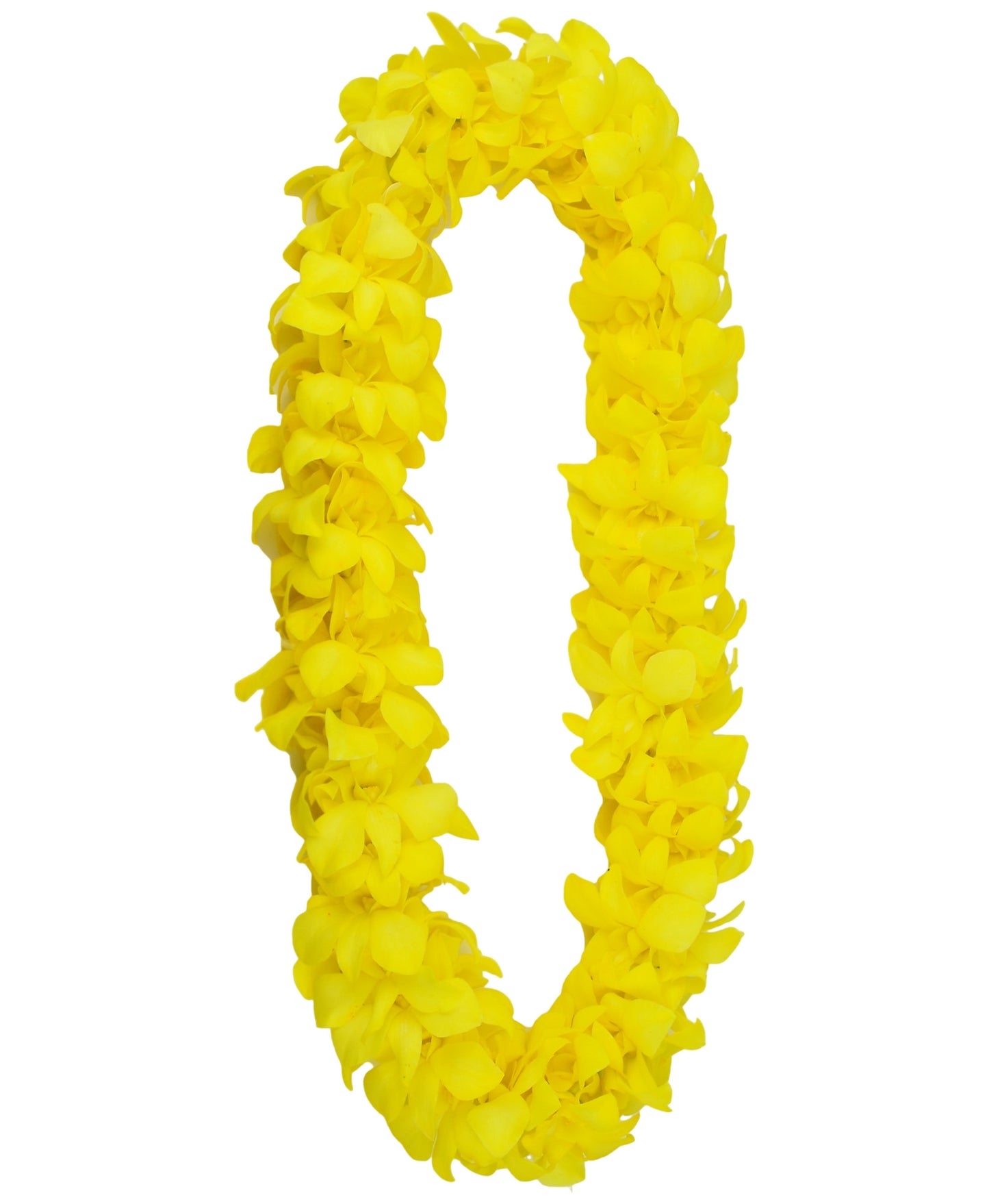 PREBOOK - YELLOW BANANA (White-Dyed) D-LEI ( DOUBLE LEI ) Dendrobium Orchid Fresh Flowers