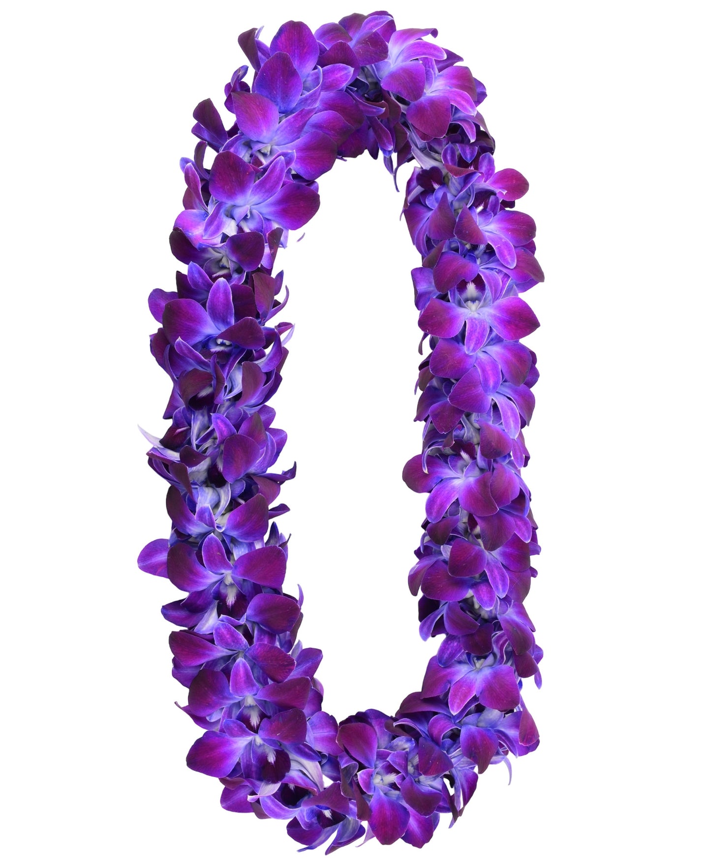 PREBOOK - Lavender Purple D-LEI ( DOUBLE LEI ) Dendrobium Orchid Fresh Flowers