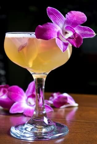Prebook 50PURPLE 50YELLOW COMBO Fresh Cut Dendrobium Orchid Loose Bloom