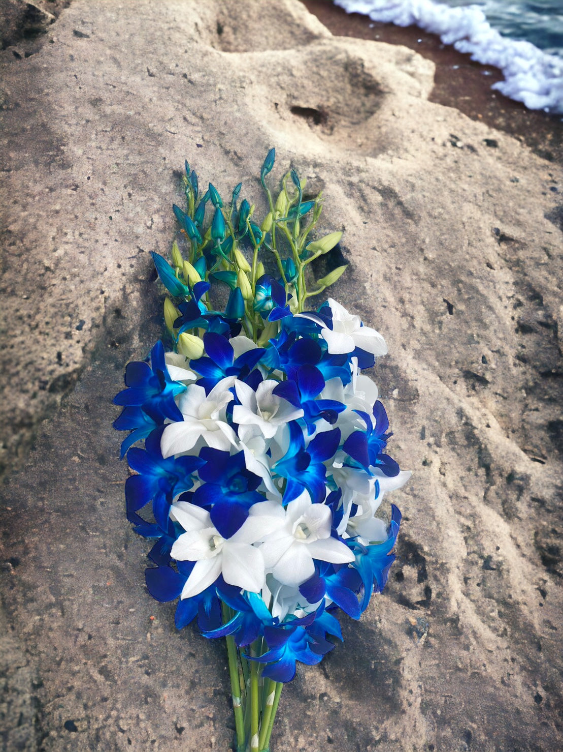 Prebook 20 Stems BLUE-WHITE Fresh Cut Dendrobium Orchid Bouquet