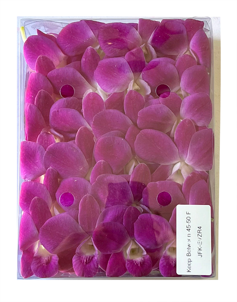 Prebook 100 Natural Queen Pink Fresh Cut Flowers Loose Bloom Orchid Dendrobium