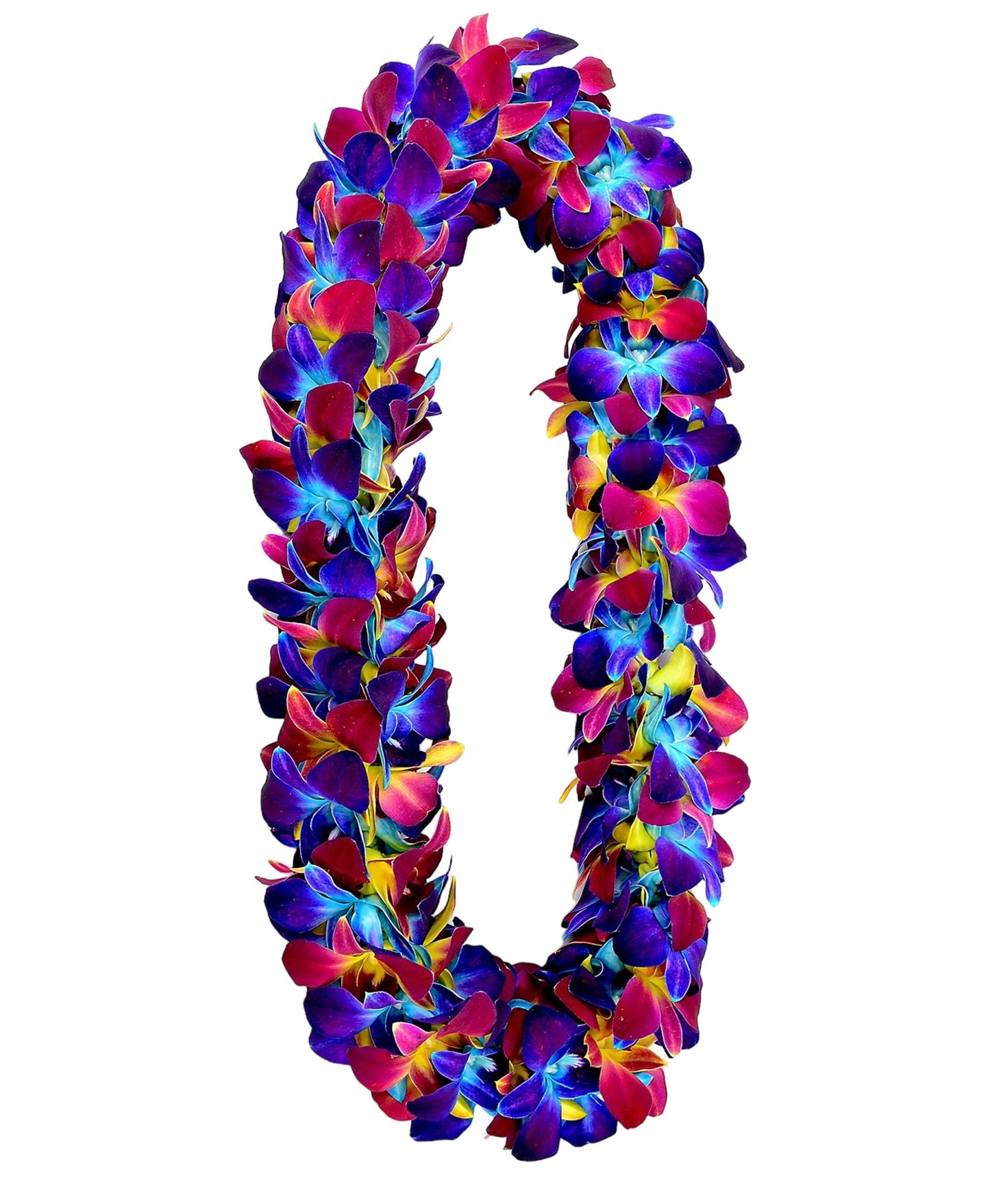 PREBOOK - RAINBOW D-LEI ( DOUBLE LEI ) Dendrobium Orchid Fresh Flowers