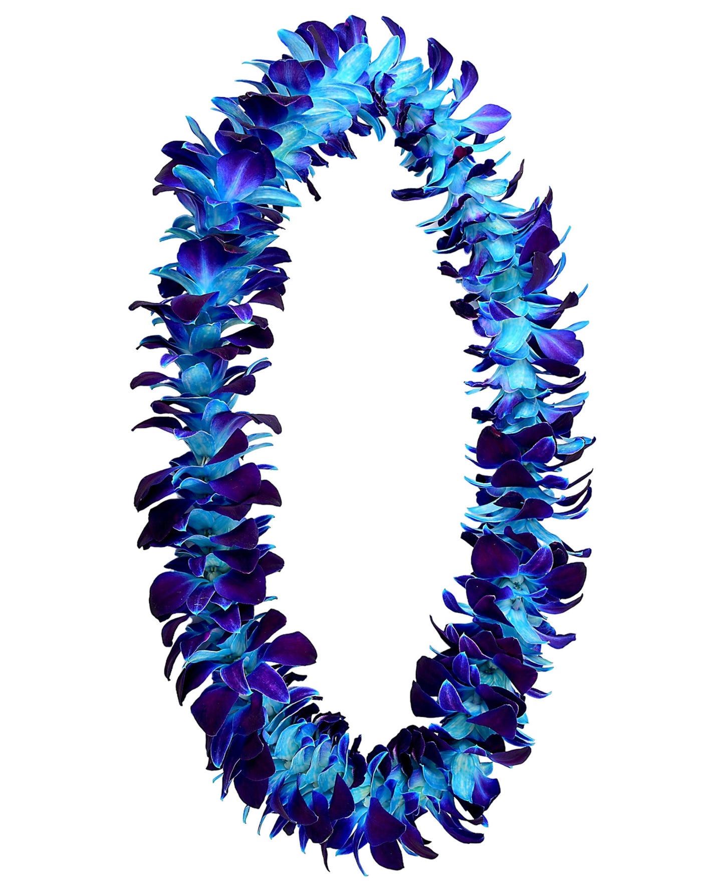 PREBOOK - Blue Sonia S-LEI ( SINGLE LEI ) Dendrobium Orchid Fresh Flowers