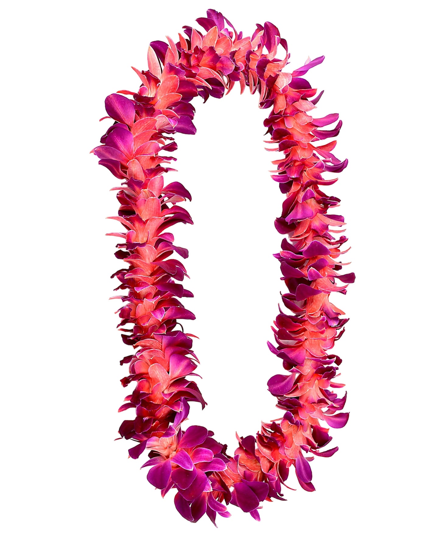 PREBOOK - RED SONIA S-LEI ( SINGLE LEI ) Dendrobium Orchid Fresh Flowers