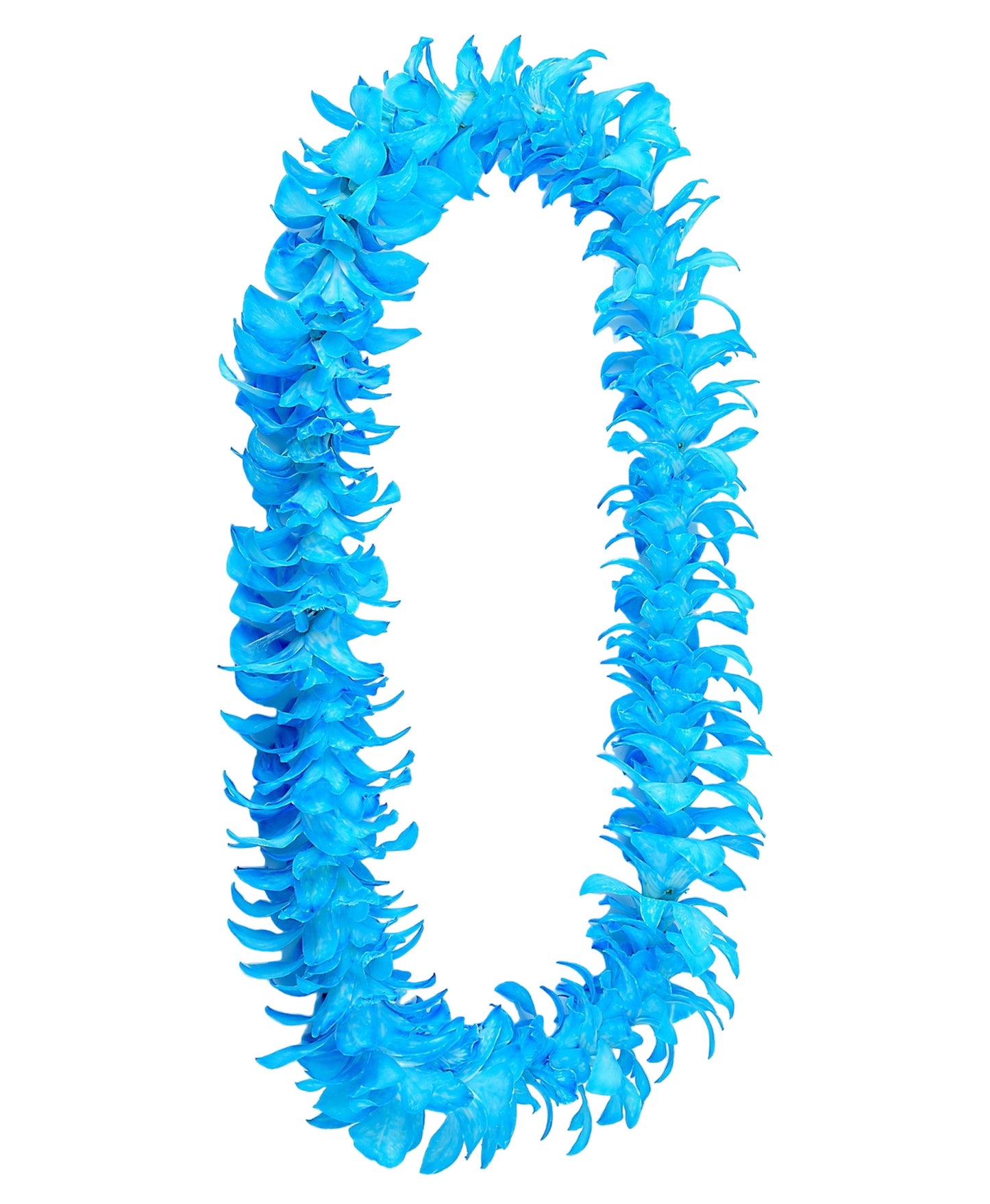 PREBOOK - BABY BLUE (White-Dyed) S-LEI ( SINGLE LEI ) Dendrobium Orchid Fresh Flowers