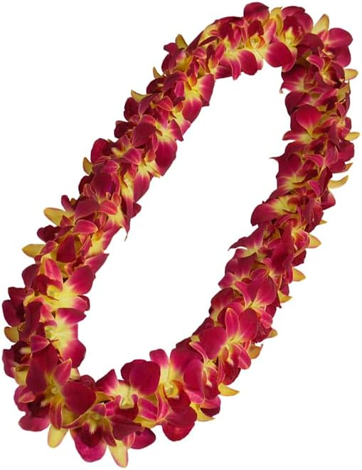 Prebook 50PURPLE 50YELLOW COMBO Fresh Cut Dendrobium Orchid Loose Bloom