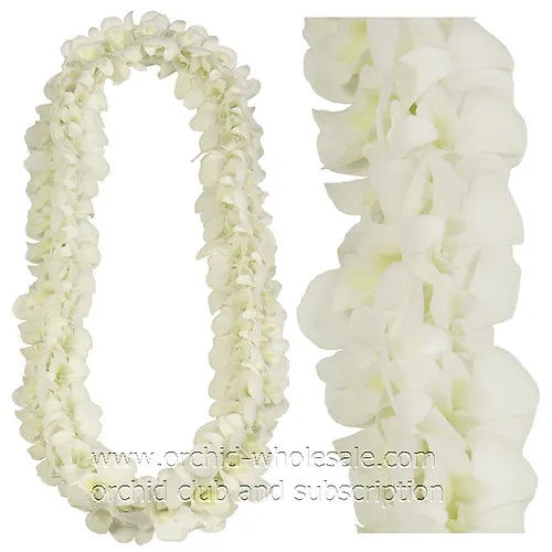 PREBOOK - White D-LEI ( DOUBLE LEI ) Dendrobium Orchid Fresh Flowers