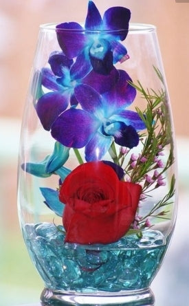Prebook 1000 Blue Sonia Fresh Cut Dendrobium Orchid Loose Bloom