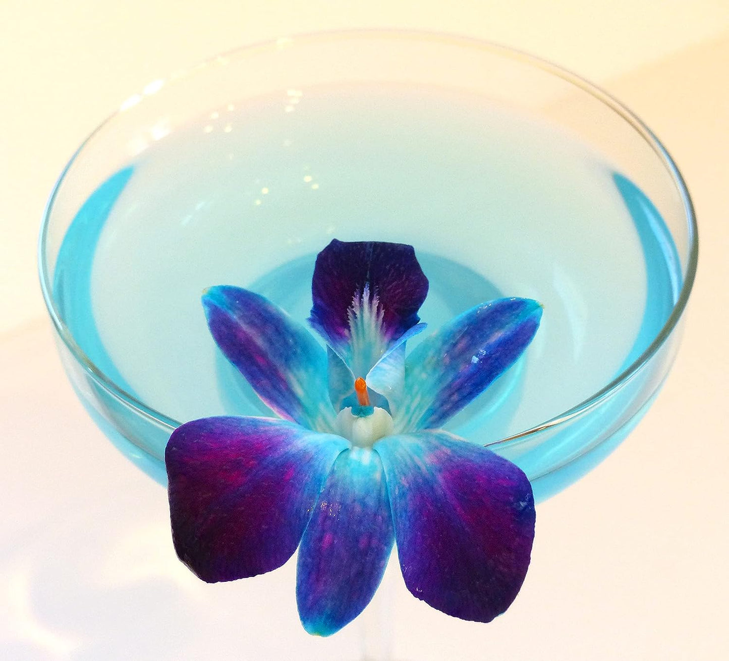 100 Blue Sonia Dyed Fresh Cut Dendrobium Orchid Loose Bloom