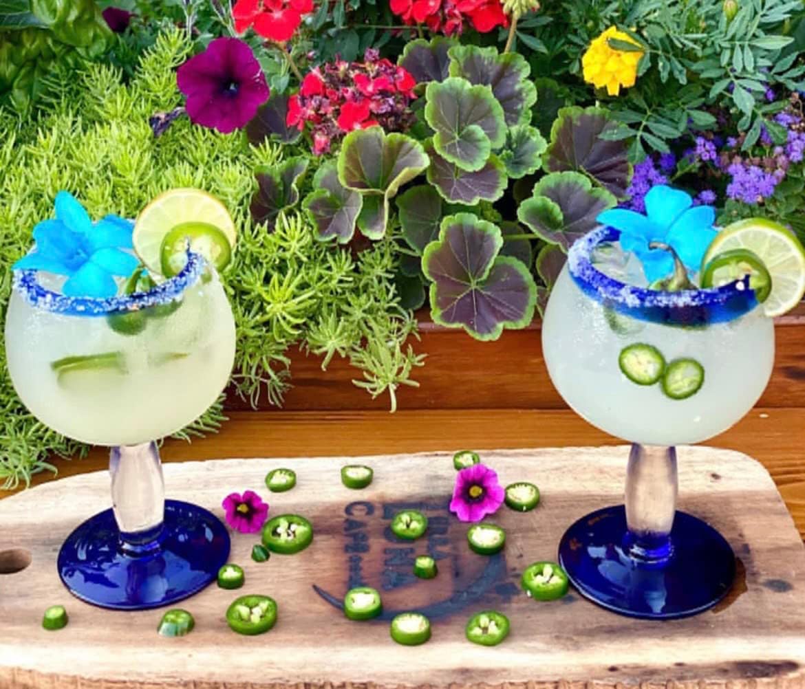 IN STOCK - 100 Candy Easter Fresh Cut Dendrobium Orchid Loose Bloom