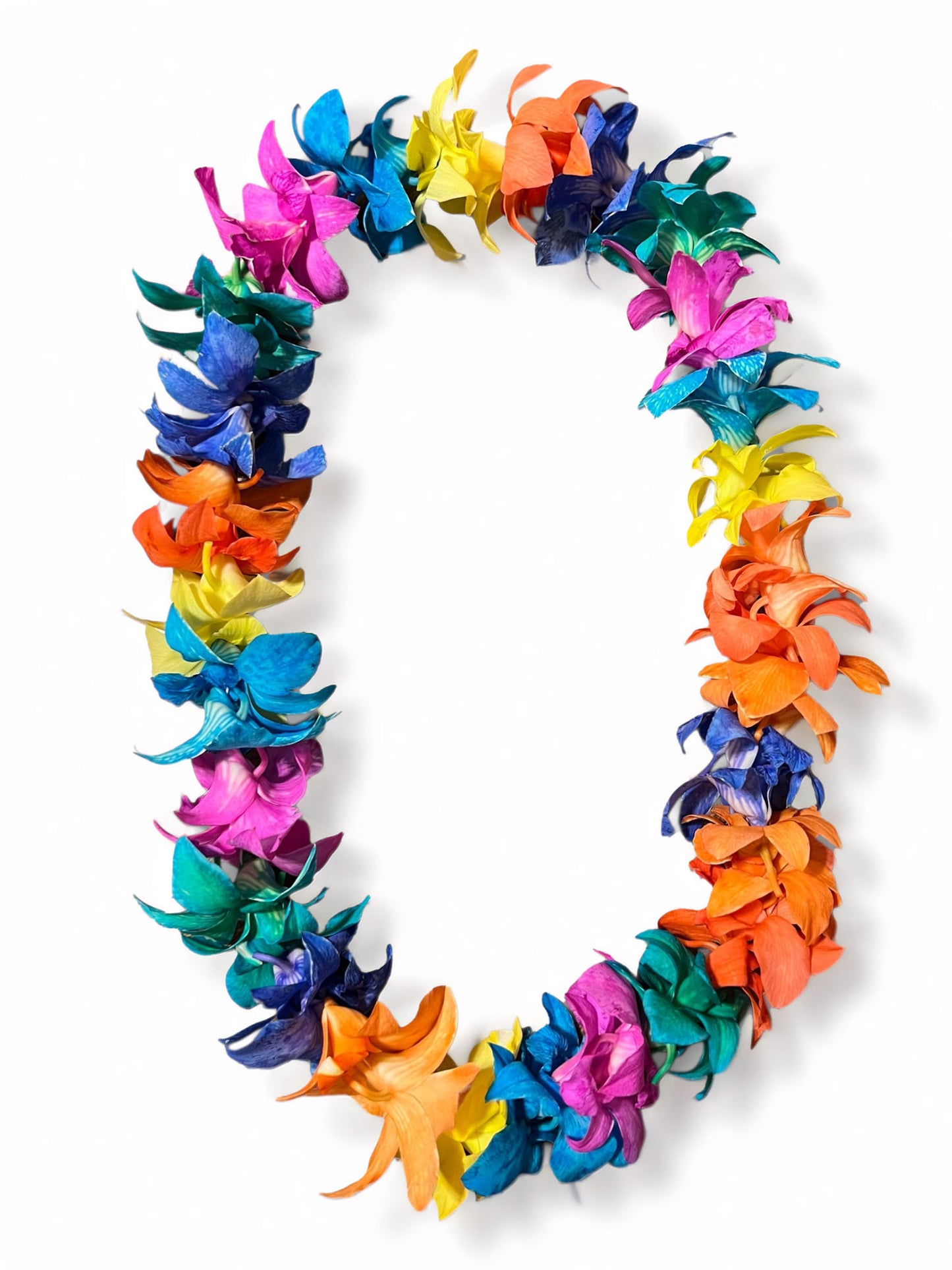 PREBOOK - CANDY Multi-Color S-LEI ( SINGLE LEI ) Dendrobium Orchid Fresh Cut Flowers