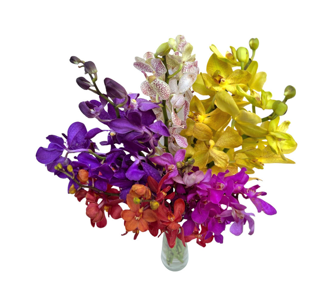 Prebook Exotic Bouquet Fresh Cut MOKARA Orchid Seasonal Farm's Choice