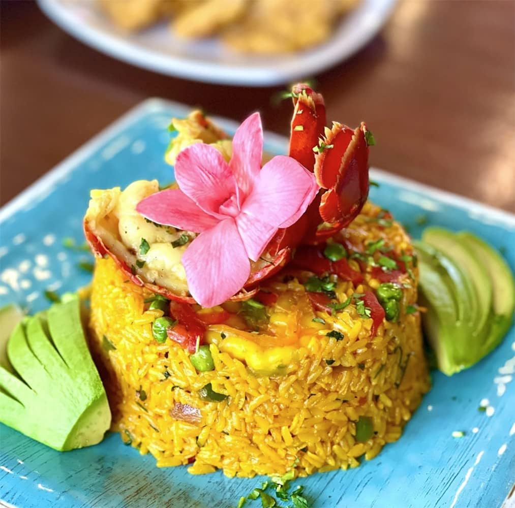 IN STOCK - 50 Rainbow 50 Candy COMBO Fresh Cut Dendrobium Orchid Loose Bloom