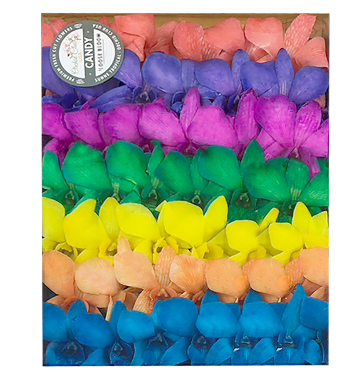 Prebook 100 CANDY COLOR DYED-White-Orchid Fresh Cut Flowers Loose Bloom Orchid Dendrobium