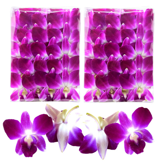 100 Purple Orchid Loose Bloom Subscription Fresh Cut Flowers
