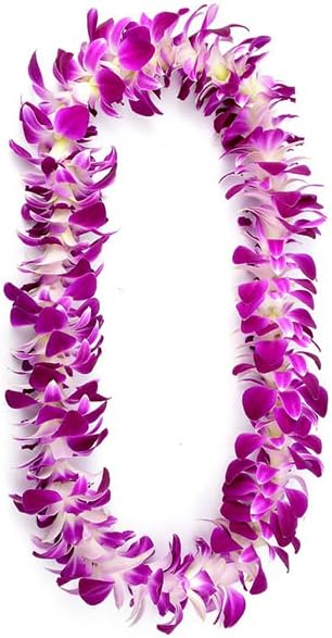 50PURPLE 50YELLOW COMBO Fresh Cut Dendrobium Orchid Loose Bloom