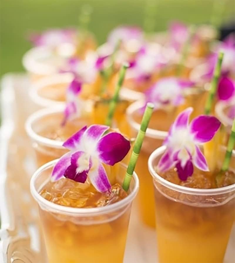 IN STOCK - 100 Purple Sonia Fresh Cut Dendrobium Orchid Loose Bloom