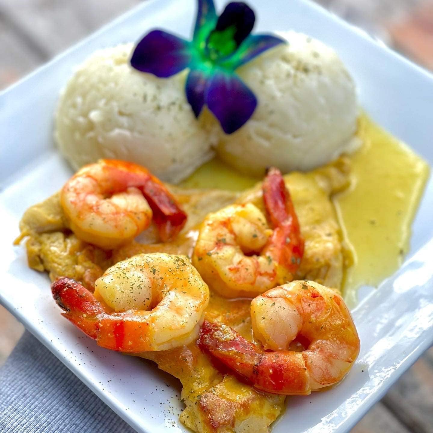 IN STOCK - 100 Rainbow Milky Way Bless Fresh Cut Dendrobium Orchid Loose Bloom