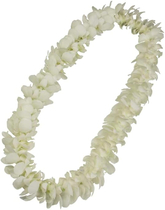 100 White Fresh Cut Dendrobium Orchid Loose Bloom