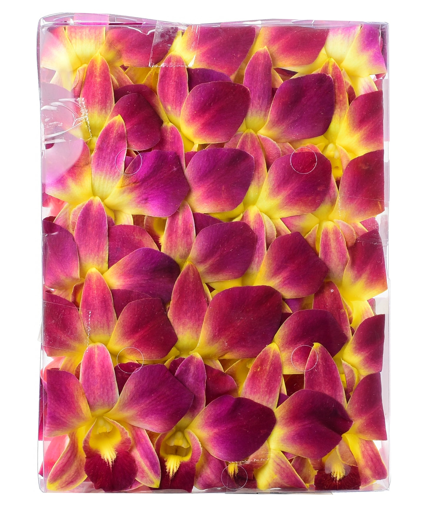 SOUTH FLORIDA ONLY - 100 Yellow Sonia Dyed Fresh Cut Dendrobium Orchid Loose Bloom