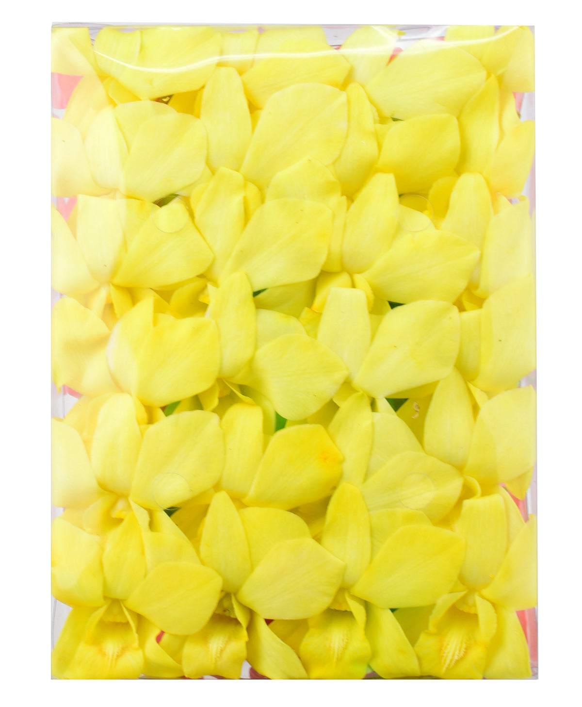 Prebook 100 YELLOW DYED-White-Orchid Fresh Cut Flowers Loose Bloom Orchid Dendrobium
