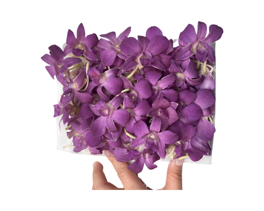 Prebook 100 Violet Viola Purple Blue Ocean Fresh Cut Dendrobium Orchid Loose Bloom