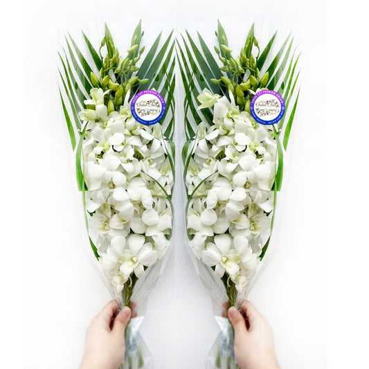 IN STOCK - 10 Stems WHITE Fresh Cut Dendrobium Orchid Bouquet