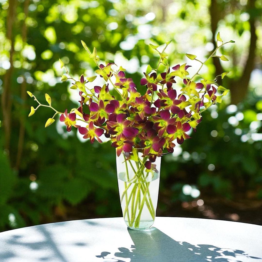 PREBOOK - 10 Stems YELLOW Fresh Cut Dendrobium Orchid Bouquet