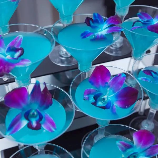 PREBOOK - 10 Stems BLUE Fresh Cut Dendrobium Orchid Bouquet