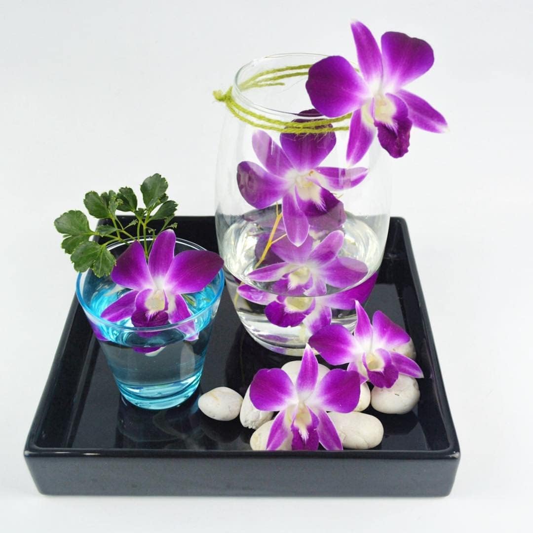 IN STOCK - 50PURPLE 50WHITE COMBO Fresh Cut Dendrobium Orchid Loose Bloom