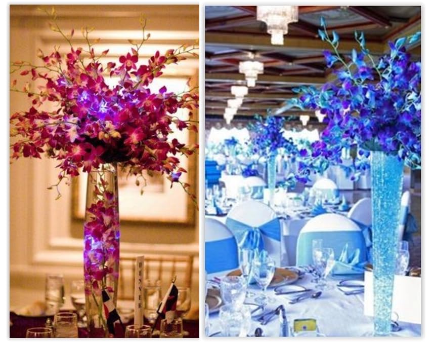 PREBO0K - 10 Stems BLUE-PURPLE Fresh Cut Dendrobium Orchid Bouquet