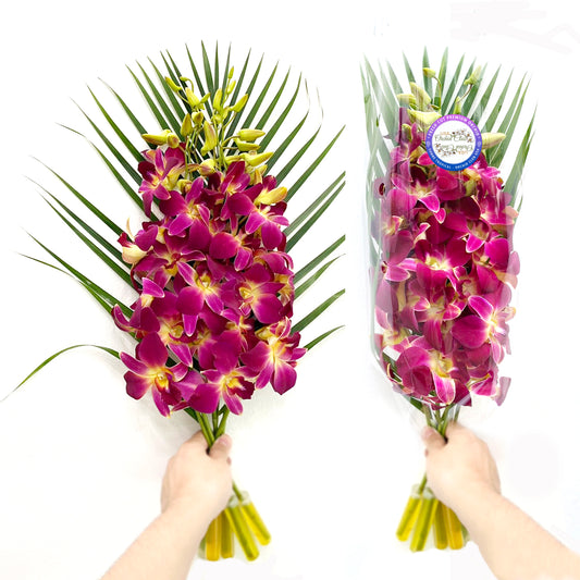 PREBOOK - 10 Stems YELLOW Fresh Cut Dendrobium Orchid Bouquet