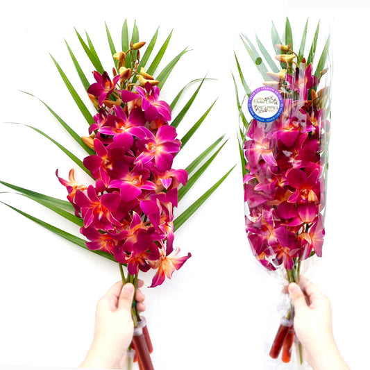 PREBOOK - 10 Stems ORANGE Fresh Cut Dendrobium Orchid Bouquet