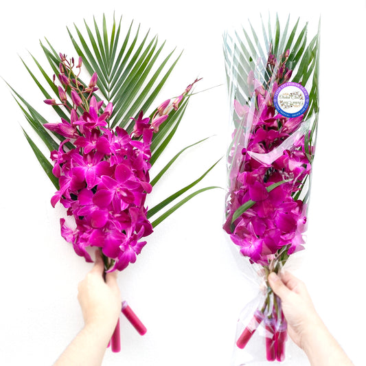 PREBOOK - 10 Stems PINK Fresh Cut Dendrobium Orchid Bouquet
