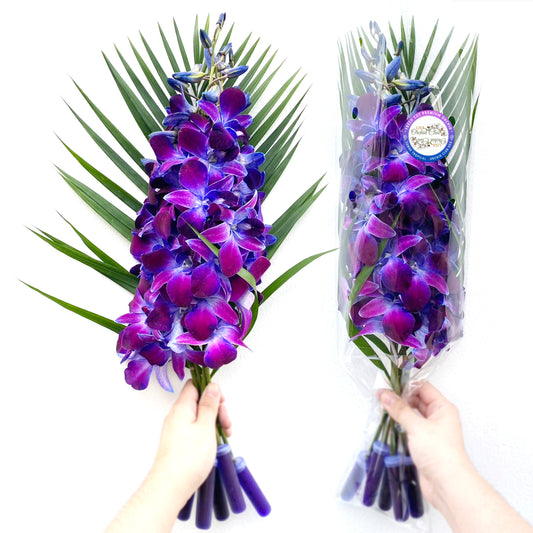 PREBOOK - 10 Stems LAVENDER Fresh Cut Dendrobium Orchid Bouquet