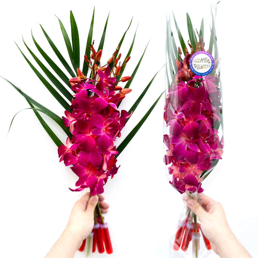 PREBOOK - 10 Stems RED Fresh Cut Dendrobium Orchid Bouquet