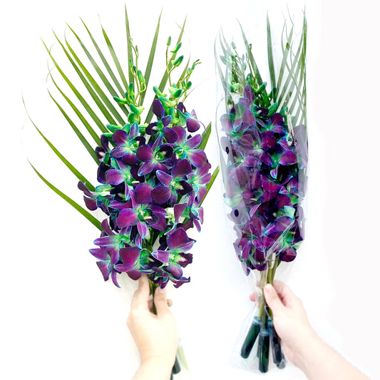 PREBOOK - 10 Stems GREEN Fresh Cut Dendrobium Orchid Bouquet