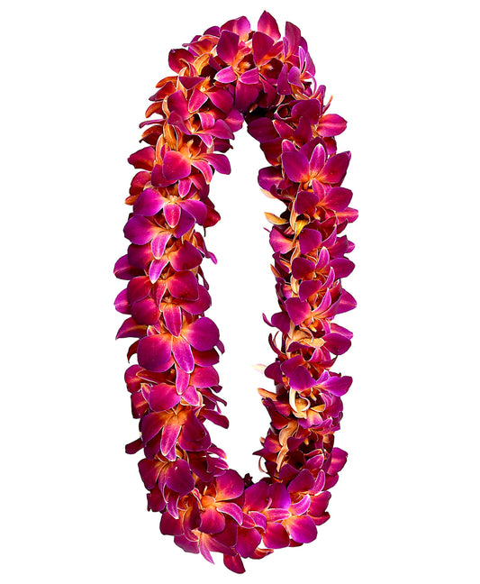 PREBOOK - ORANGE SONIA D-LEI ( DOUBLE LEI ) Dendrobium Orchid Fresh Flowers