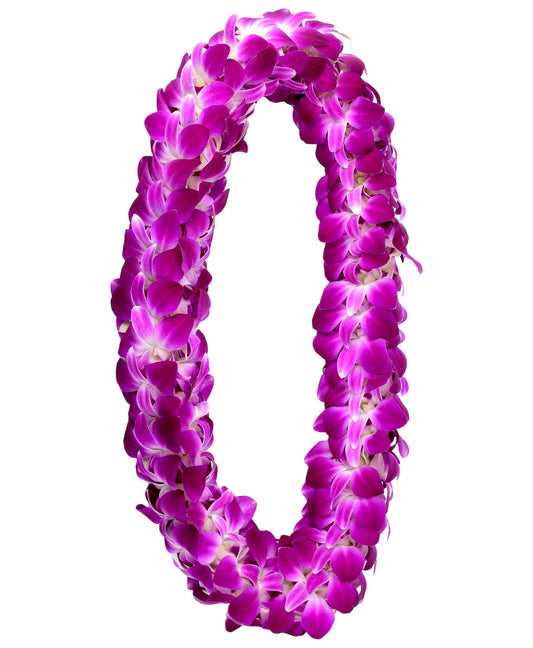 PREBOOK - Purple Sonia D-LEI ( DOUBLE LEI ) Dendrobium Orchid Fresh Flowers